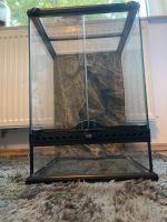 Terrarium Exotera Nordrhein-Westfalen - Schwerte Vorschau