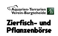 Zierfische,Fische,Wasserpflanzen,Aquarium,Garnelen, Börse des ATB Schleswig-Holstein - Bargteheide Vorschau