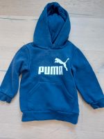 Puma Hoodie Nordrhein-Westfalen - Hennef (Sieg) Vorschau