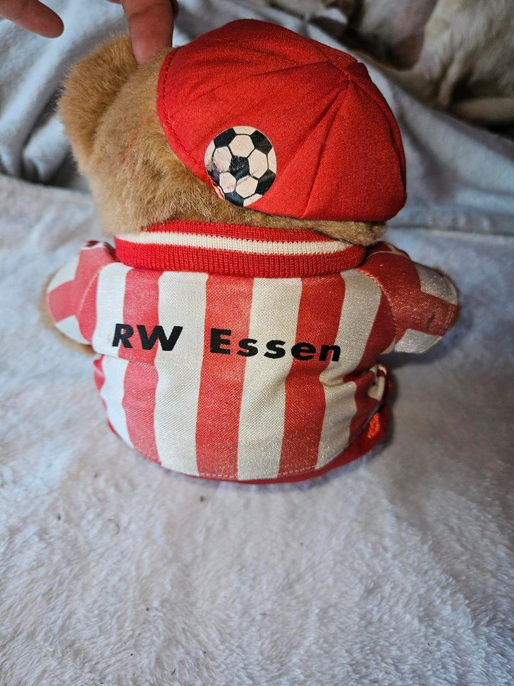 RWE stofftier Teddy in Essen