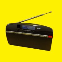 Portables Stereo Digitalradio DAB+ / UKW Nordrhein-Westfalen - Salzkotten Vorschau