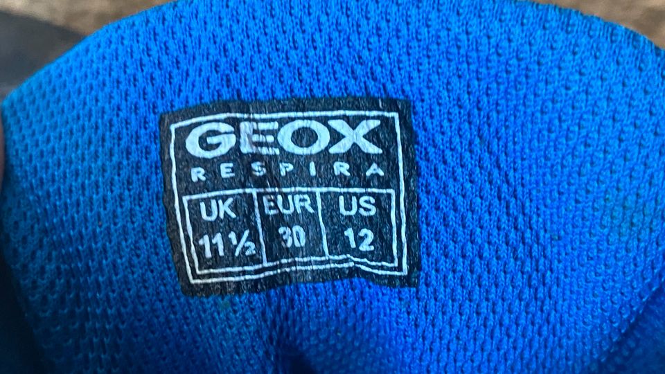 Geox Stiefel Jungen Gr. 30 in Bad Iburg