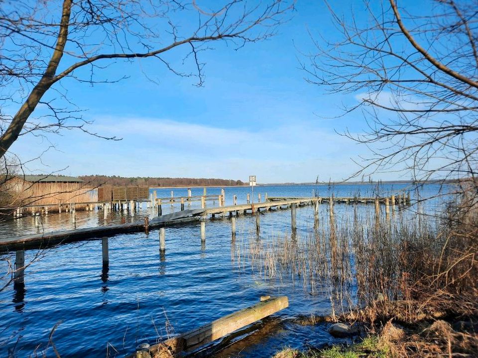 Ferienhaus Sonnendeck am Plauer See mit Ruderboot in Plau am See