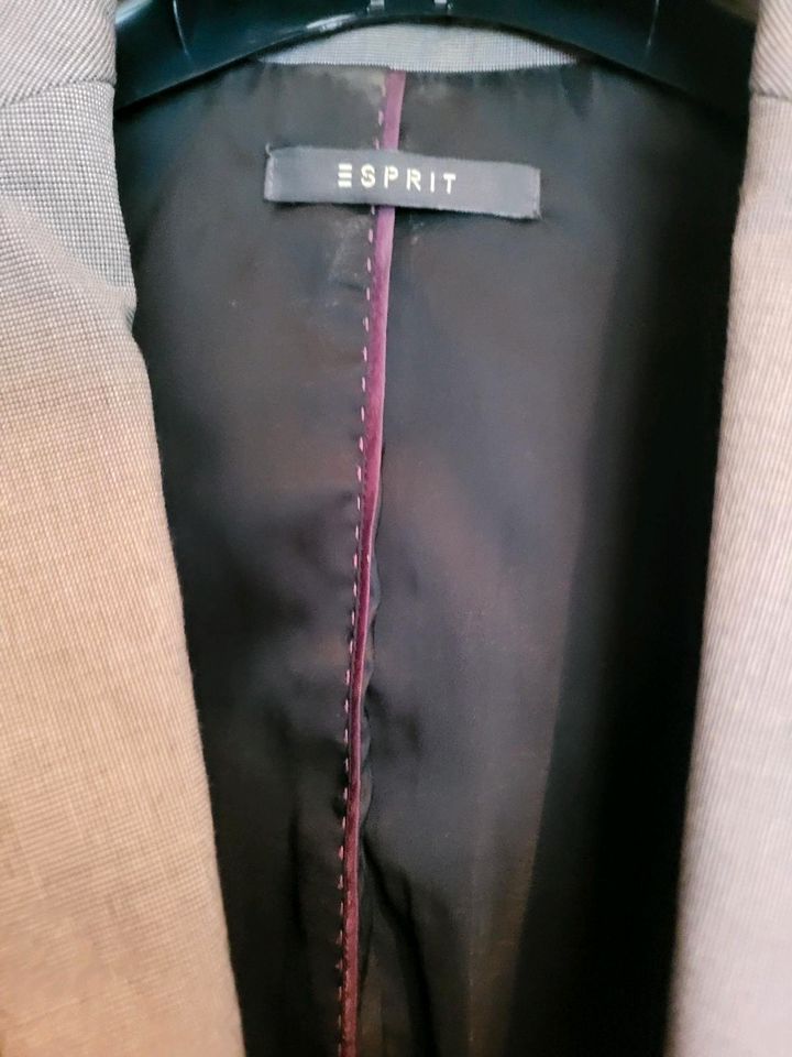 Esprit Blazer 32 in Schrecksbach