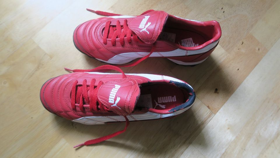 Puma Fußballschuhe in Enkenbach-Alsenborn