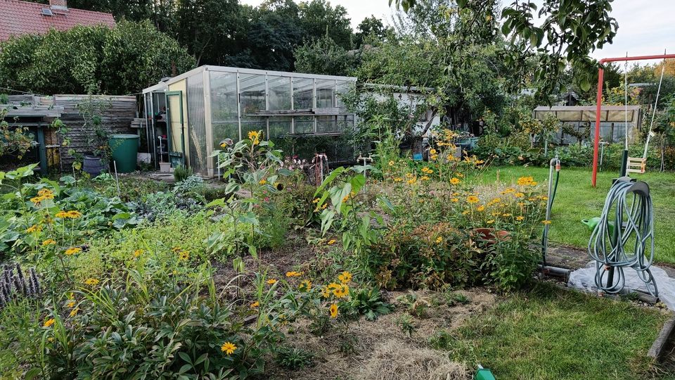 Bio-Kleingarten mit gemauerter Laube in Brandenburg/Havel in Berlin