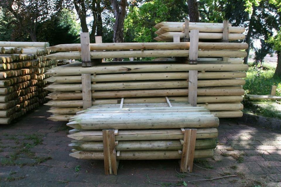 Baumpfähle - Zaunpfähle - Holzpfähle - 8 x 250 cm - imprägniert in Wagenfeld