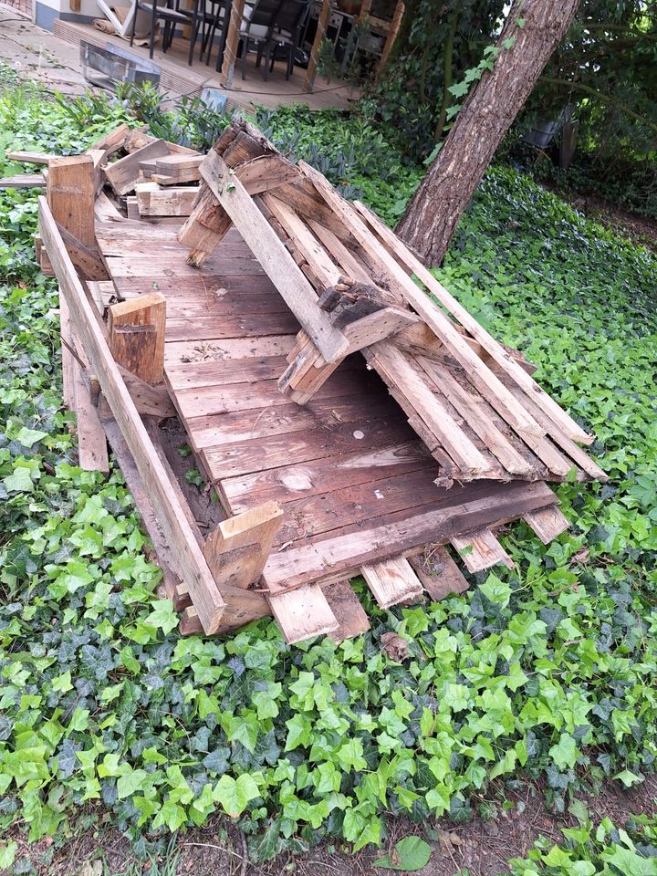 Holz zu verschenken in Rastatt