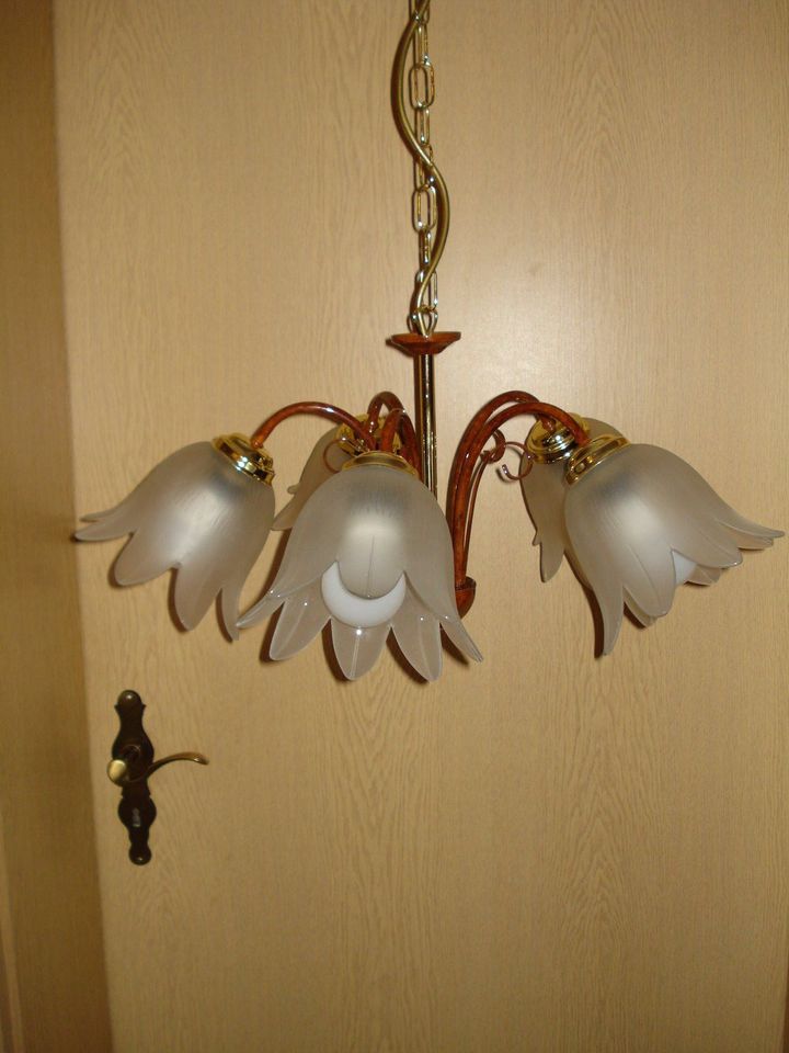 Wohnzimmerlampe incl. LED Leuchtmittel in Geslau