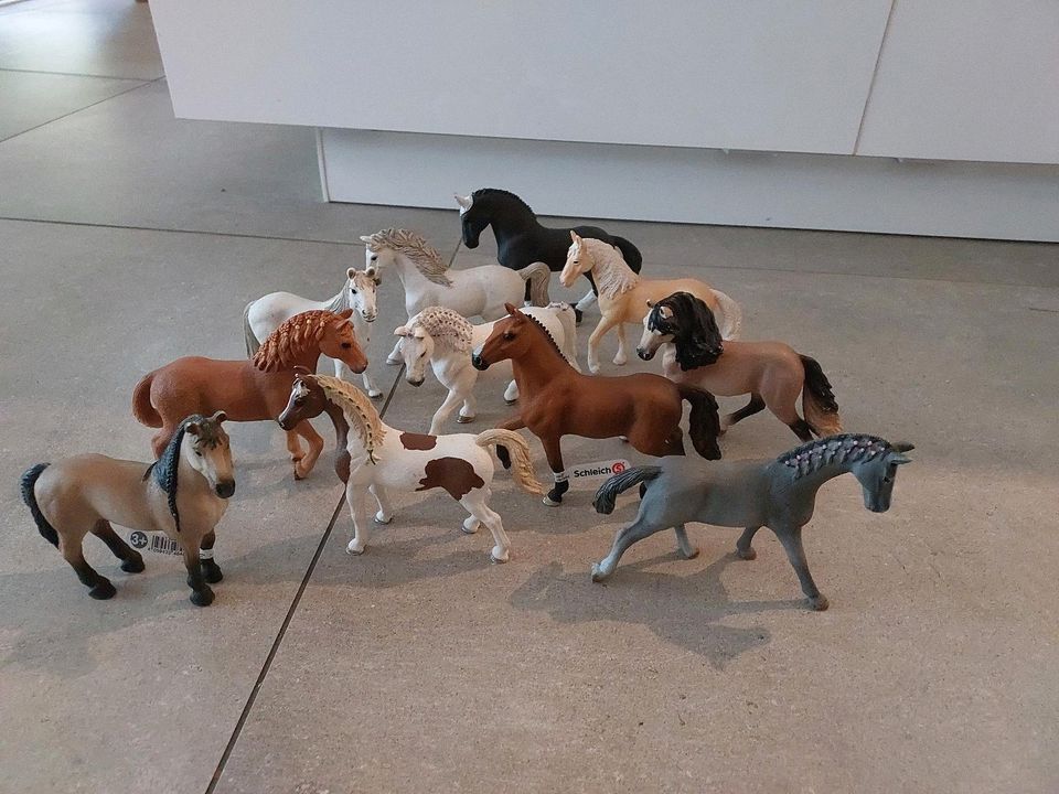 Schleich Pferde 11 Stück in Wesel