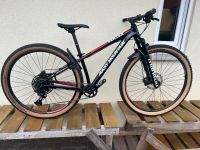 MTB Rocky Mountain Vertex 29Zoll*Manitou*SRAM 12-fach*Größe XS* Sachsen - Eppendorf Vorschau