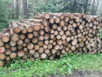 Fichte 25-50 cm 1 Srm/ab 45,00€ Brennholz Kaminholz Thüringen - Tiefenort Vorschau