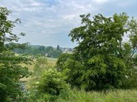 Baugrundstück mit herrlichem Ausblick auf die Stadt Zwickau! Sachsen - Zwickau Vorschau