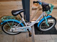 Kinderfahrrad 18 Zoll Vermont Kreis Pinneberg - Rellingen Vorschau