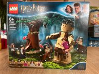 Lego Harry Potter 75967 Baden-Württemberg - Tauberbischofsheim Vorschau