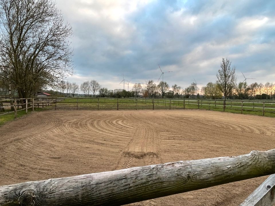 Bereiter bietet Beritt, Anreiten, Korrektur, Turniervorstellung in Gilten