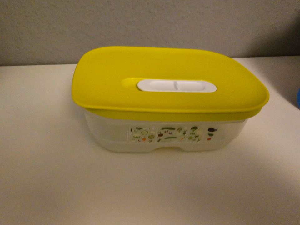 Kühlschrankdosen von Tupperware in Oberhausen