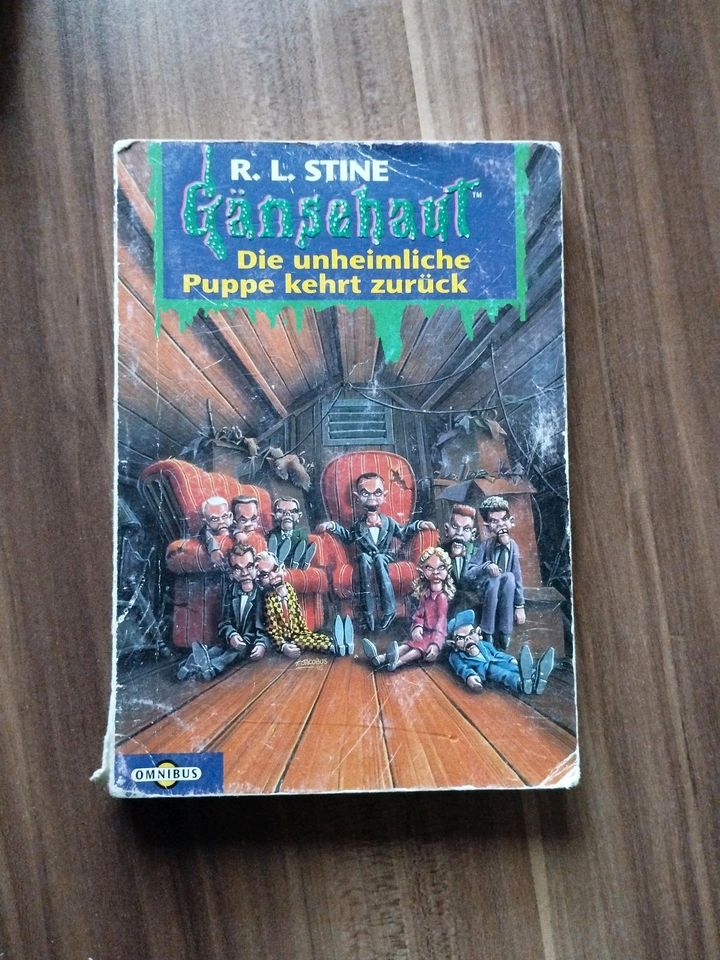 R.L. Stine " Gänsehaut Grusel Romane " , 7 x , Omnibus Verlag in Versmold