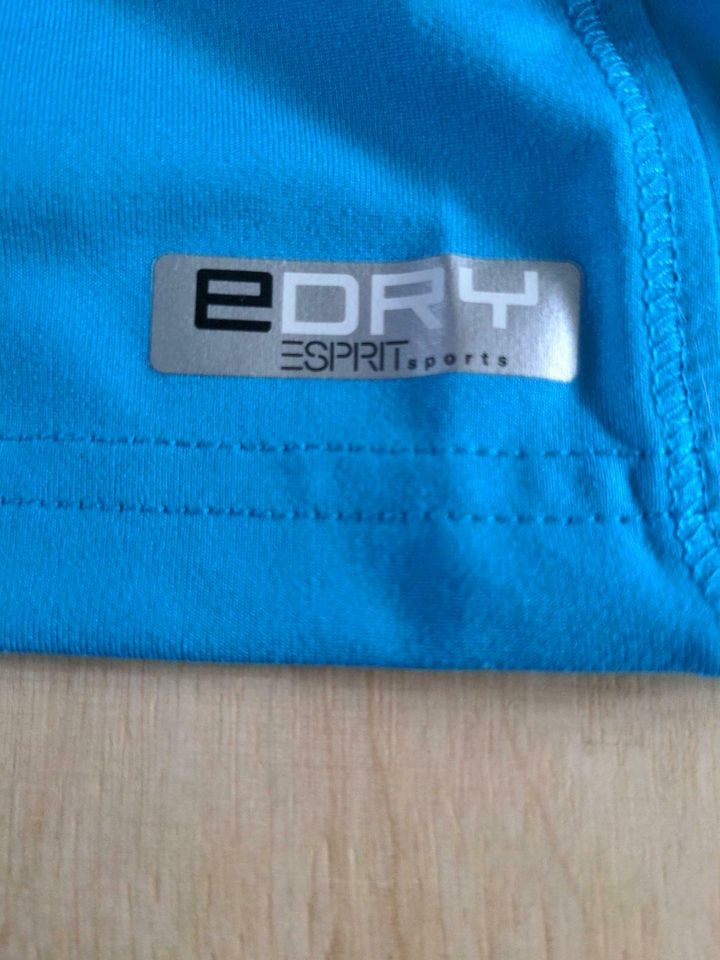 Sport Shirt Esprit Gr. 176 in Lampertheim