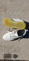 Golf Schuh Damen ECCO Schleswig-Holstein - Lübeck Vorschau