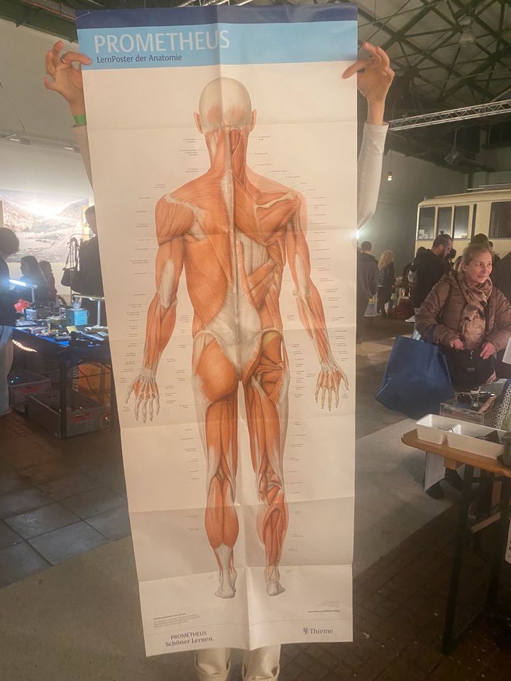 Diverse Prometheus Anatomie Plakate in Witten