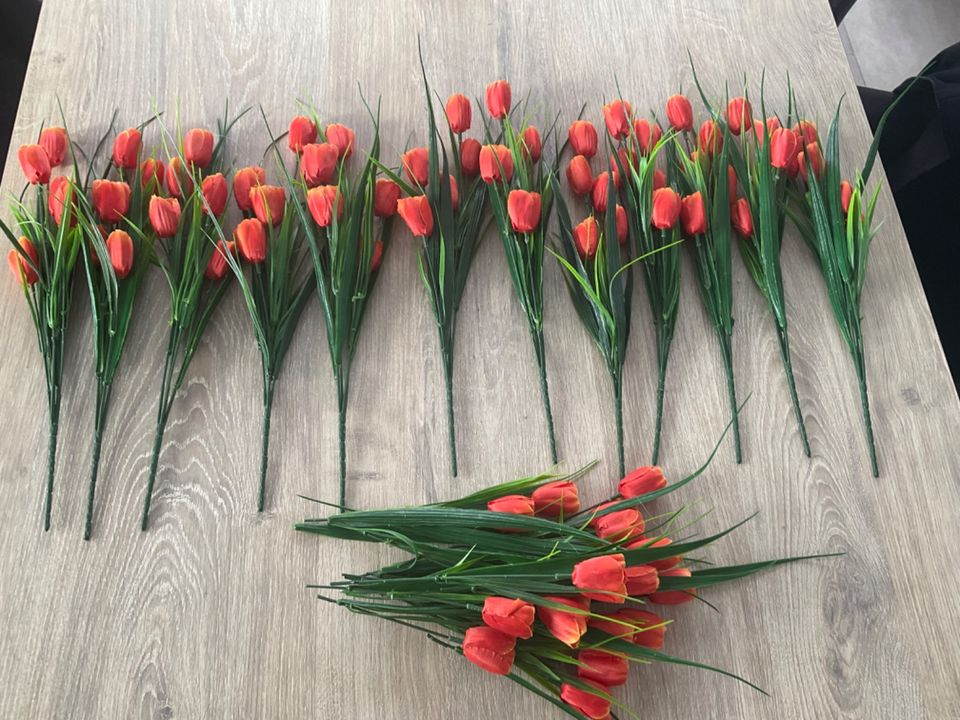 Neu 12 Sträuße orangefarbener TULPEN pro Strauß 5 Tulpen in Emlichheim