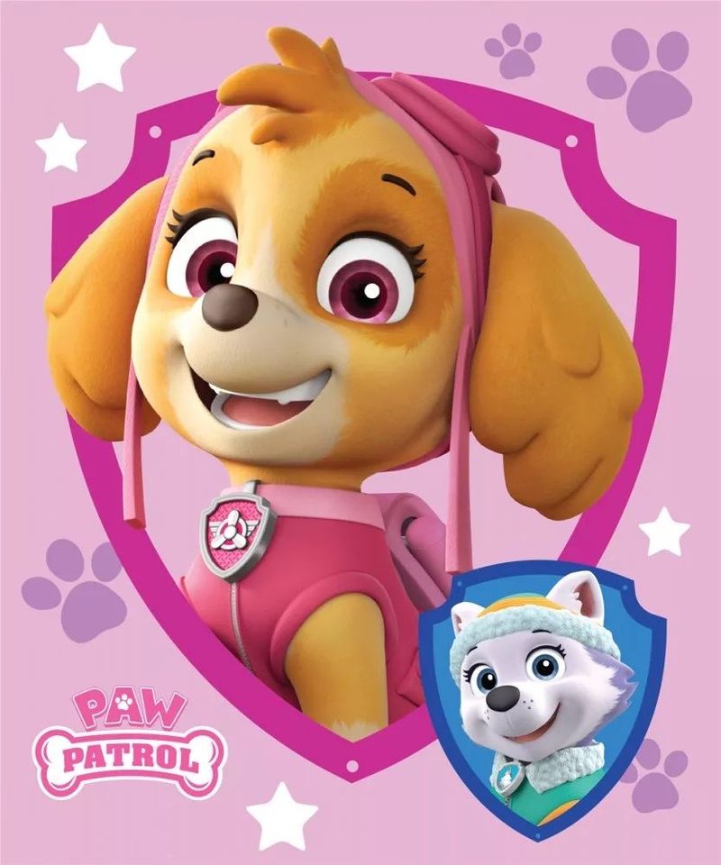 Paw Patrol Fleecedecke 100 x 140 cm Neu in Saterland