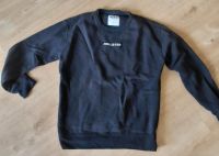 Hollister Pullover Gr. M Ludwigslust - Landkreis - Wittenburg Vorschau