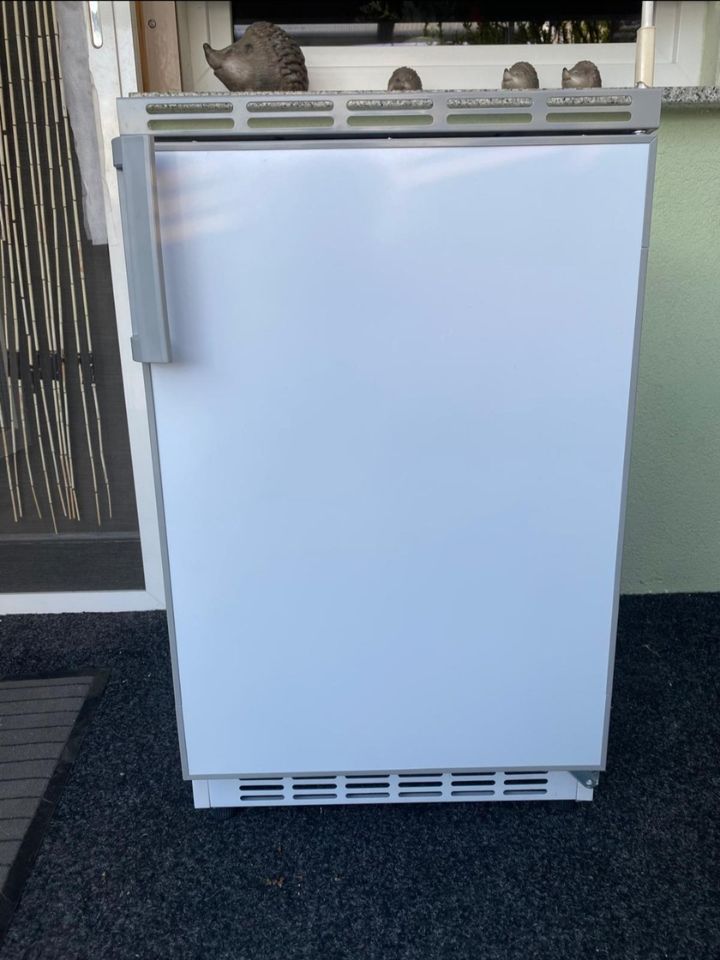 Unterbaukühlschrank | kleiner Kühlschrank | mit Gefrierfach in Lutherstadt Wittenberg
