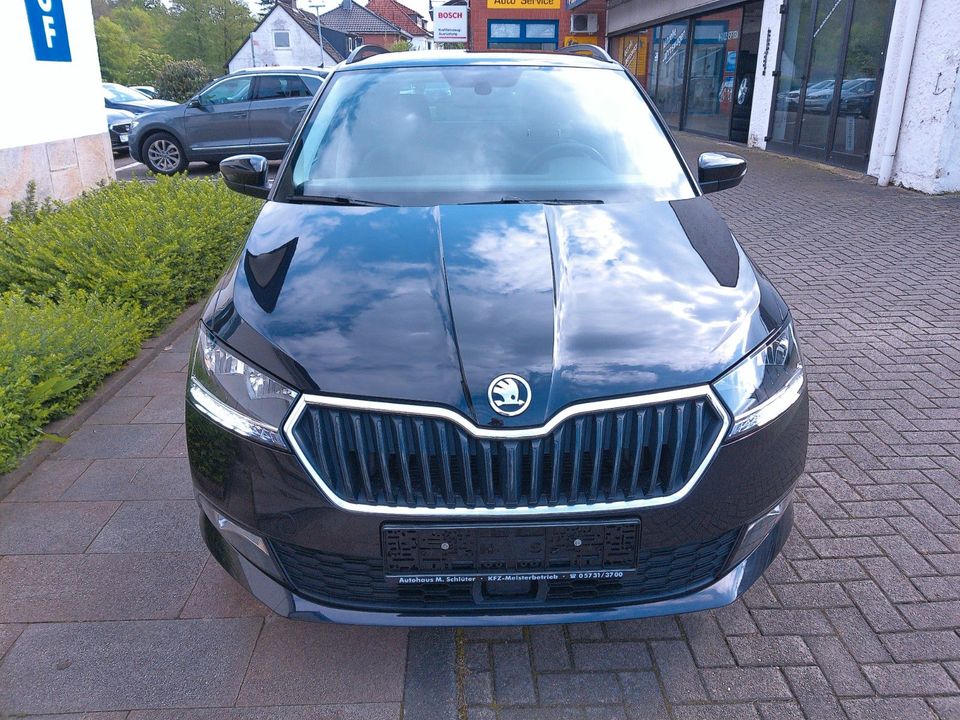 Skoda Fabia Combi 1,0 TSI Ambition Blth. Sitzh. Alu in Bad Oeynhausen