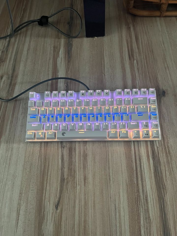 Gaming Tastatur mit LED in Bad Oeynhausen