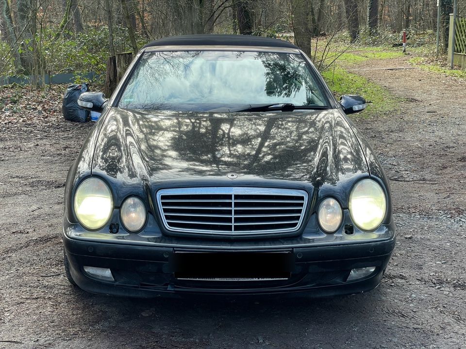 Mercedes Benz CLK Cabrio 230Kompressor LPG in Böblingen