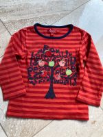 Sigikid Shirt Langarmshirt Größe 98 Baum Herbst Sachsen - Röhrsdorf Vorschau