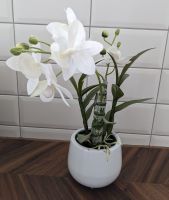 Hochwertige Kunstpflanze Orchidee Phalaenopsis Weiß Kunststoff Nordrhein-Westfalen - Altenbeken Vorschau