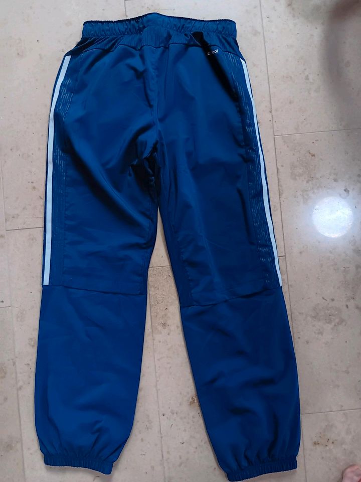 Neue Adidas Pants Jogginghose Sporthose Gr.164 in Zittau