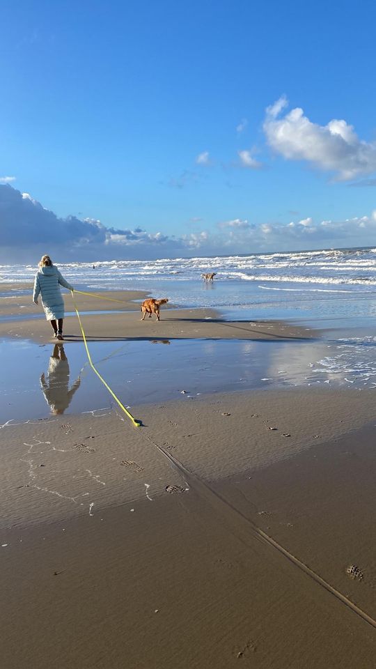 21.7-27.7 / 20.08.-24.08 /02.09-07.09 Sommerferien direkter Meerblick Nordsee Hund Holland Niederlande 1 Woche Sommerferien in Warburg