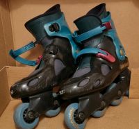 Rollerblades Spiritblade Inliner Inlineskates Herren Gr. 44 grün Bayern - Wettstetten Vorschau