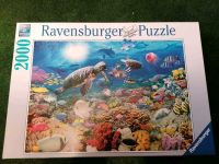 Ravensburger Puzzle 2000 Teile Sachsen-Anhalt - Braunsbedra Vorschau