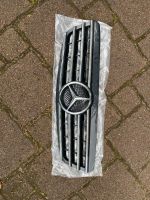 Mercedes W220 Kühlergrill Niedersachsen - Buchholz in der Nordheide Vorschau