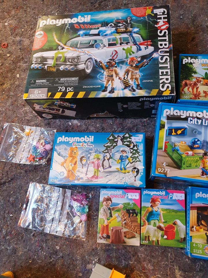 Playmobil Sets in Worms