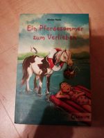 Ein Pferdesommer zum Verlieben von Meike Haas Bayern - Rettenbach Oberpf Vorschau