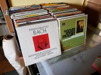 Musik Schallplatten Sammlung Musikschallplatten Vinyl Bayern - Plattling Vorschau