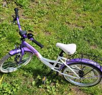 Mädchen Fahrrad 20 Zoll Herzogtum Lauenburg - Mölln Vorschau