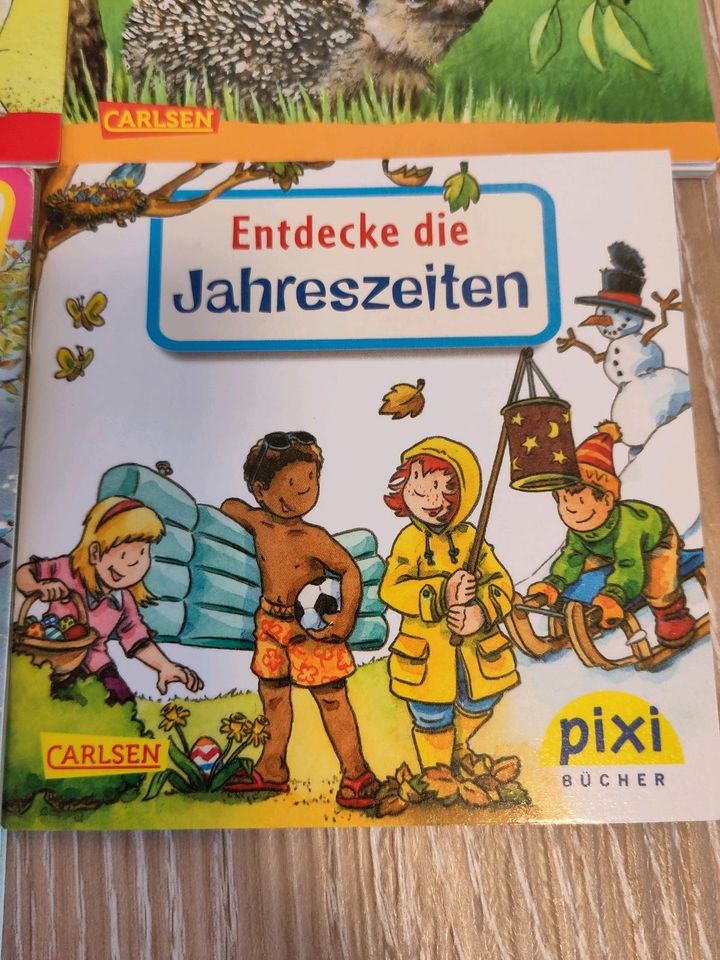 6 Pixi Bücher Wissen Benny Blu Wikinger Ritter Jahreszeiten Tiere in Erfde