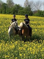 Reiterferien Reitferien Ferienlager Sommerferien Schleswig-Holstein - Lübeck Vorschau