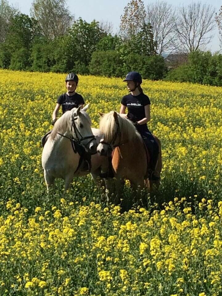 Reiterferien Reitferien Ferienlager Sommerferien in Lübeck