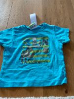 T-Shirt türkis Baby 74 Topolino Junge Baden-Württemberg - Engen Vorschau