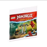 LEGO Ninjago 30650: Kais & Raptons Duell im Tempel NEU & OVP Bayern - Moosinning Vorschau