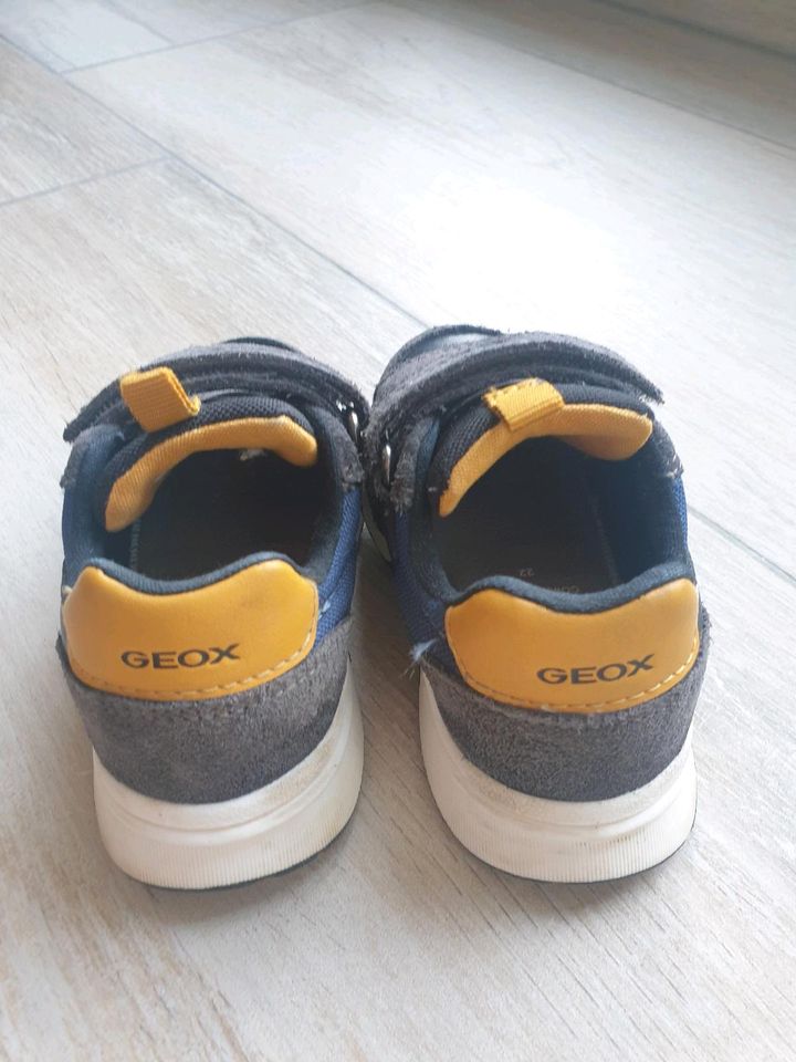 Geox Kinderschuhe Sneaker Gr. 22 in Hürth