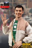 BBK 1/6 Sheldon Cooper Figur kein Hot Toys Bayern - Germering Vorschau